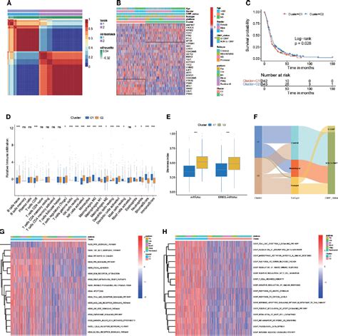 Figure From Identification And Validation Of An Anoikis Associated