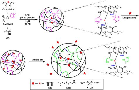 Figure From Design Of Responsive And Degradable Supramolecular Host