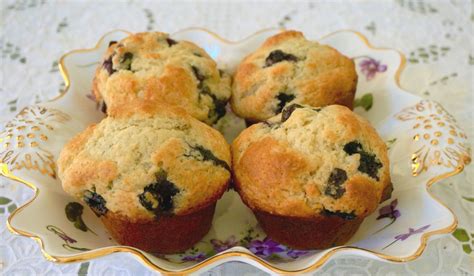 Tips On Salt Free Plus Blueberry Muffins Salt Free And Vanilla Y — Ronnie Fein