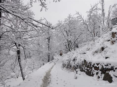 Chillai Khurd Brings Cheer To Kashmir With Season’s First Snowfall ...