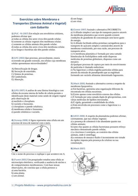 PDF Citologia Membrana Plasmatica PDFSLIDE NET