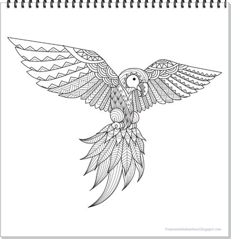 Papagei Mandala Ausmalbilder Zum Ausdrucken Parrot Mandala Coloring