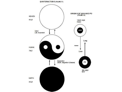 Cosmology Taoism Yin Yang Cosmology