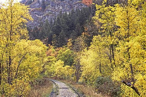 Autumn In Provo Canyon Utah Photograph By Craig Ratcliffe Fine Art