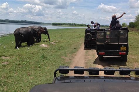 Dagtocht Van Kandy Naar Sigiriya Dambulla En Safari In Het Nationale