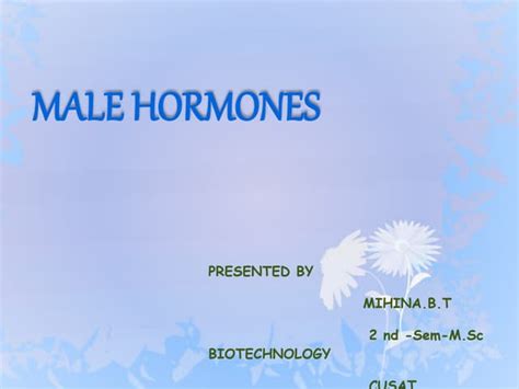 MALE HORMONES.pptx | Free Download