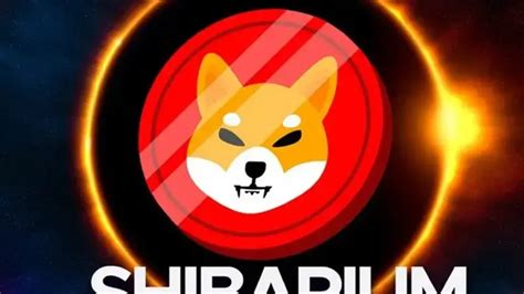 Shiba Inu Ceo Says Shib Has A Chance For With Shibarium Guest