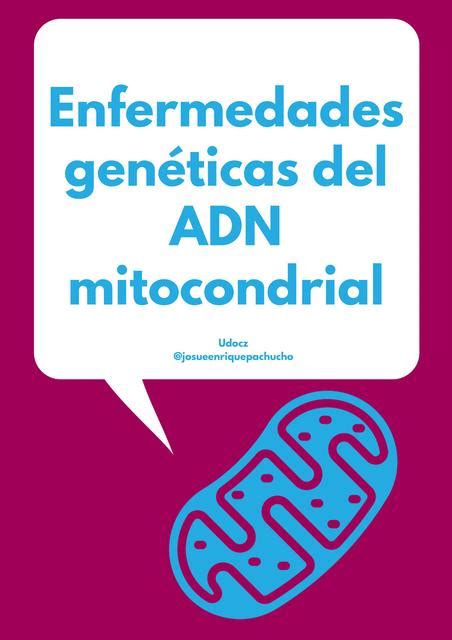 ENFERMEDADES GENÉTICAS DEL ADN MITOCONDRIAL HUMANO Estudia Odonto uDocz