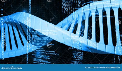 Imagen De Cadena Dna Y Procesamiento De Datos En Fondo Negro Stock De