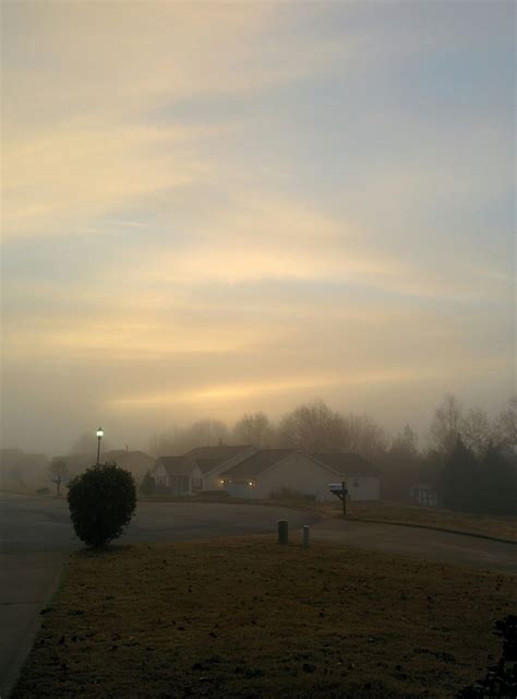 Foggy morning #sunrise #chillweather | Foggy morning, Sunrise, Foggy