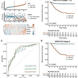 Establishment And Evaluation Of The EMT Associated Gene Signature In