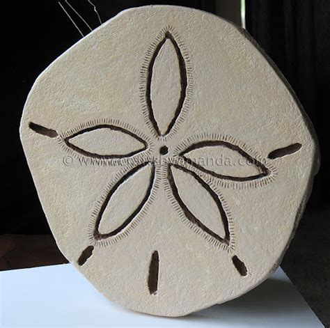 Giant Sand Dollar - Crafts by Amanda