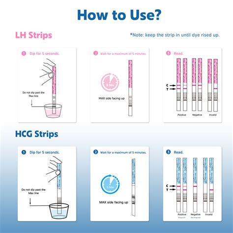 Ovulation Testsandovulation Pregnancy Testandovulation Test Kit