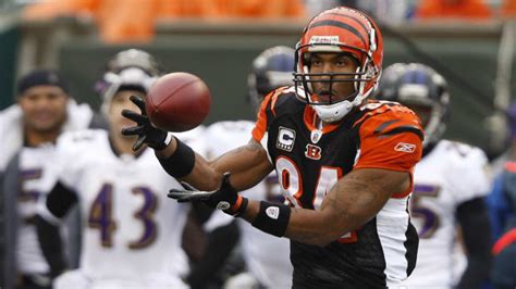 Cincinnati Bengals Legend T.J. Houshmandzadeh Facing Scary Harassment ...