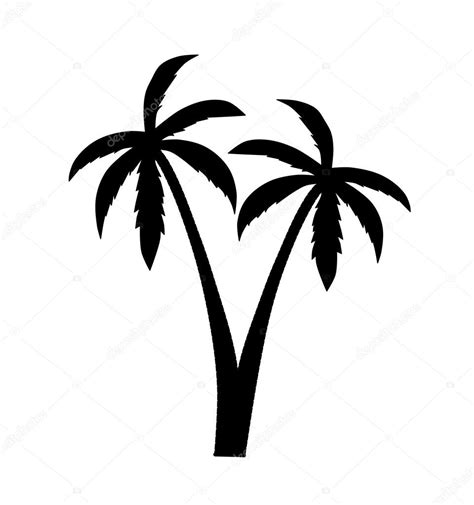 Palm Stock Vector Image By Lucaso