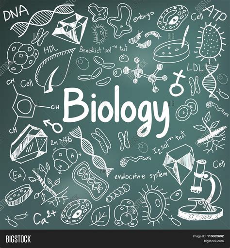 🔥 10 Biology Science Wallpapers Wallpapersafari