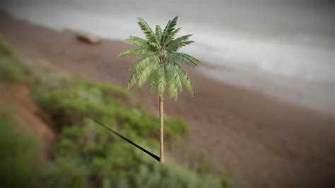 Realistic Palm Tree Model vol.1 - Download Free 3D model by Aliyeredon ...