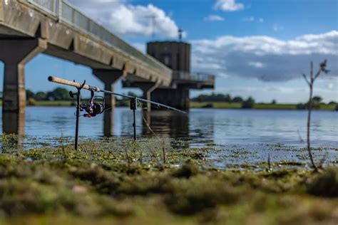 Navigating Nature 5 Essential Tips For Fishing Weedy Lakes