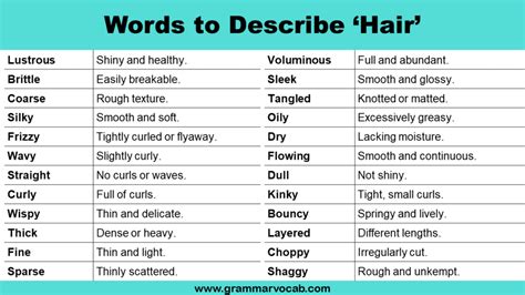 Adjectives Words To Describe Hair Grammarvocab