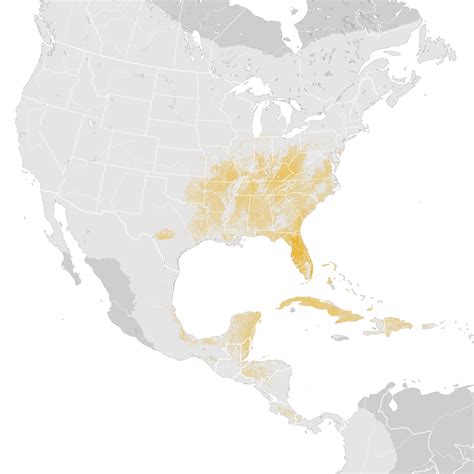 Yellow Throated Warbler Abundance Map Post Breeding Migration Ebird Status And Trends