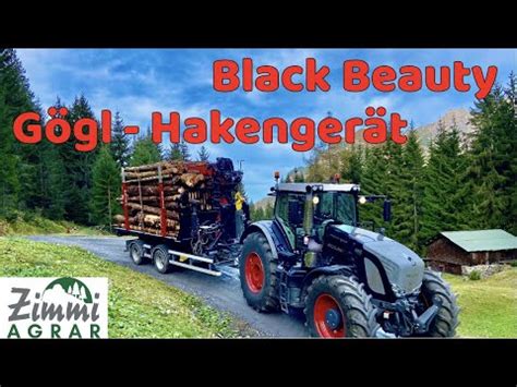 Black Beauty and Dirty Kathy Fendt 936 Gögl Hakenlift Epsilon Kran