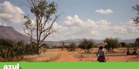 A fome em Madagáscar foi causada pelas alterações climáticas Agroportal