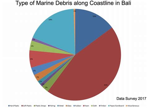 Riset Membuktikan Ini Jenis Sampah Laut Terbanyak Di Pesisir Bali