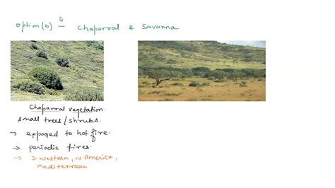 Solved Question 12 In Which Of The Following Terrestrial Biome Pairs Are Both Parts Dependent