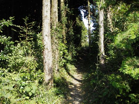 豊橋自然歩道（多米峠～富士見岩～旧姫街道～嵩山）