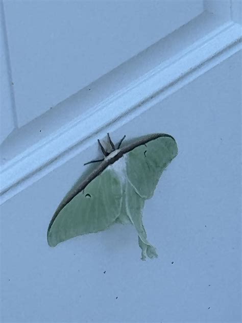 French Funeral Home | Brazil IN