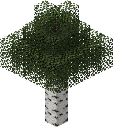 File Birch Tree Png Official Minecraft Wiki