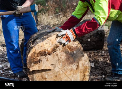 Forstwerkzeug Hi Res Stock Photography And Images Alamy