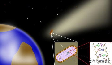 外星生命可能起源地球？科學家稱，星際彗星或將生命帶到另一星球 每日頭條