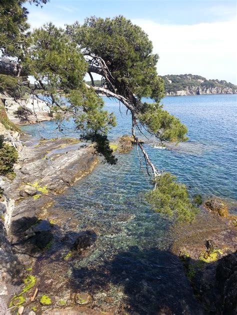 Port Du Niel Presqu Le De Giens Hy Res C Te D Azur Var La Garde