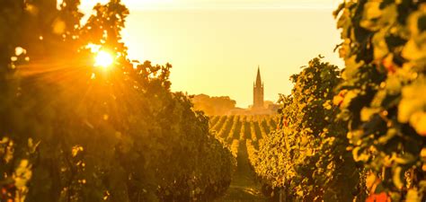 The Vineyards of Bordeaux at a Glance - Vineyards Bordeaux