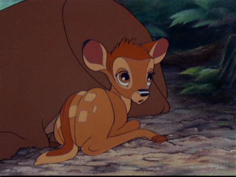 Bambi Image Bambi Bambi Disney Disney Art Bambi 1942