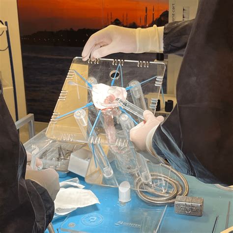 Anal Fistül Fissür Hemoroid Eğitim Seti PraticMed