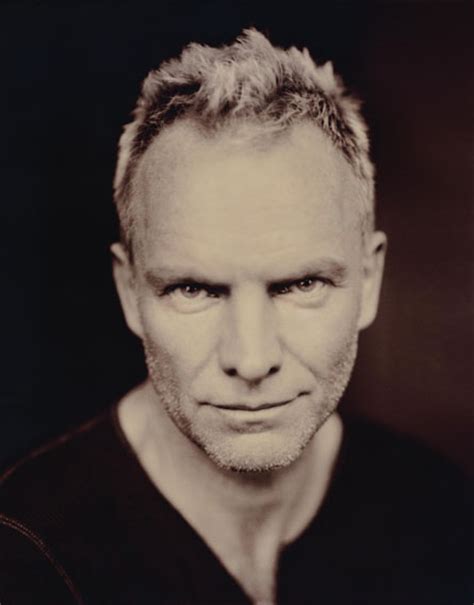 Sting - Sting Photo (59360) - Fanpop