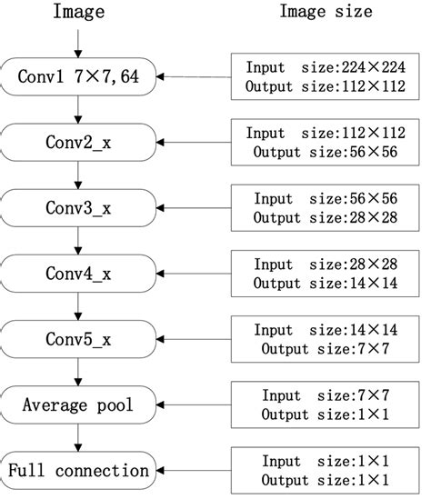 The Network Structure Of Resnet50 Download Scientific Diagram