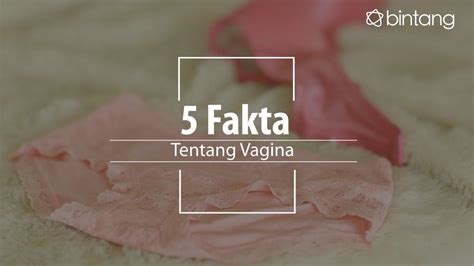 Cewek Wajib Tahu Ini Fakta Tentang Vagina Lifestyle Fimela