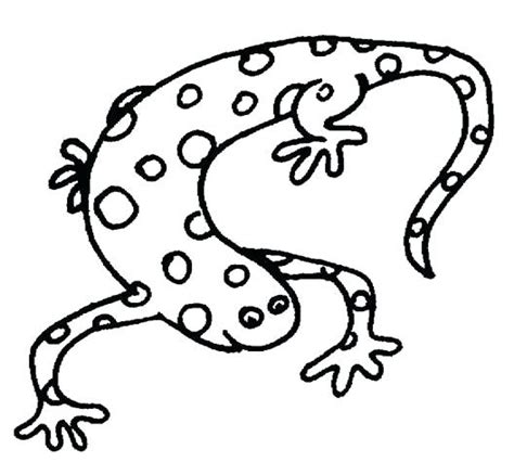 Amphibians Drawing | Free download on ClipArtMag