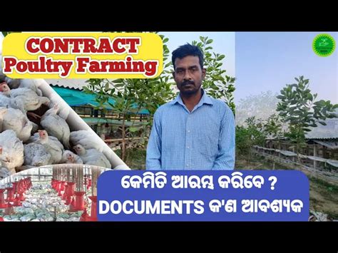 How To Start Contract Poultry Farming In Odisha Documents Required