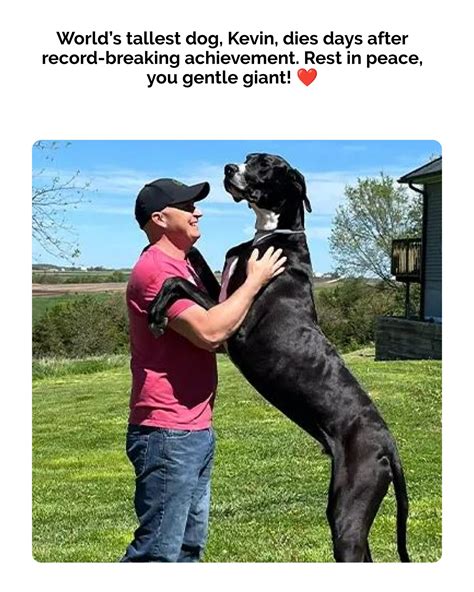 Jessicalondoncom fashion sales are breaking records now 9