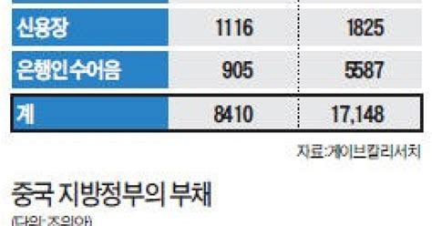 그림자금융·지방정부 부채 뇌관中 통화정책 긴축 선회하나