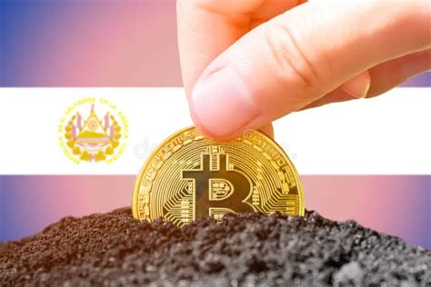 Bitcoin Breakthrough El Salvador And E Grains Introduce Innovative Soy