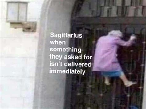 Funny And Relatable Sagittarius Memes That Are Basically Facts