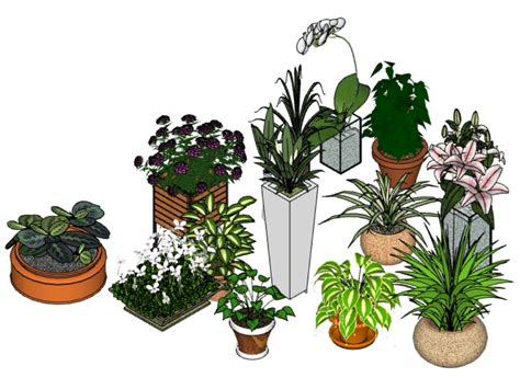 Plantas Con Maceta En Skp Descargar Cad Gratis Mb Bibliocad