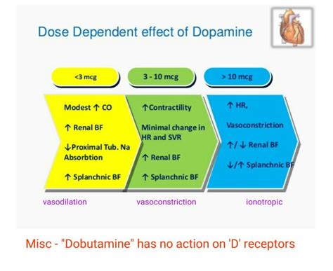 Dopamine Vs Dobutamine Nursing Mnemonics Dopamine Receptor Medical