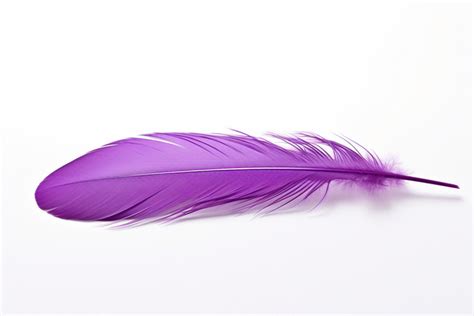 Purple Feather Of Feather Background Feather Luck Reflection