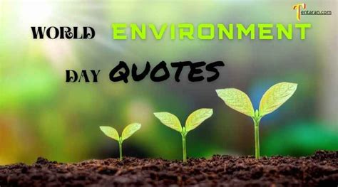 Environment Day Quotes, World Environment Day, Day Wishes, Quote Of The ...